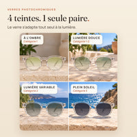 Le Levant Olive : 4 teintes selon la lumière, de la catégorie 1 à la catégorie 3